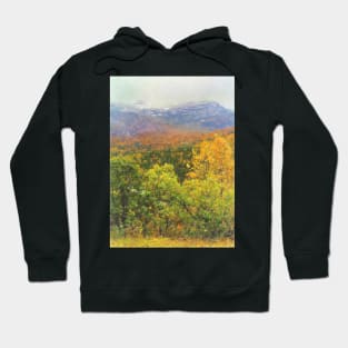 Autumnal Trees and Misty Mountains Hoodie